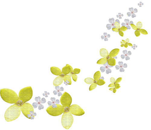 Flower.White.Yellow - PNG gratuit