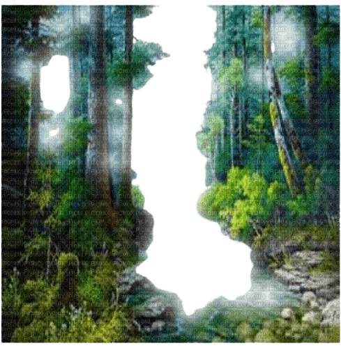 Frame Forest - Bogusia - kostenlos png