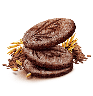 Biscuit Chocolate Brown - Bogusia - Free PNG