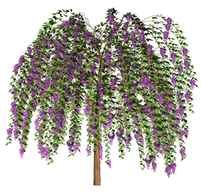 Kaz_Creations Trees Tree Colours - png grátis