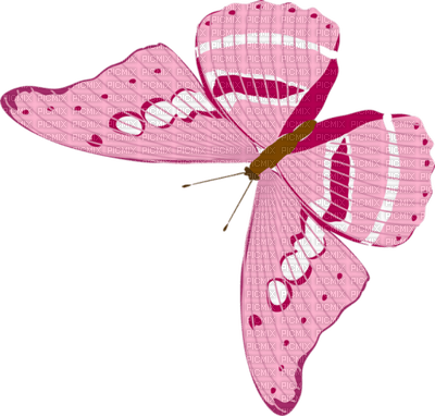 Butterfly- pages -2 - фрее пнг