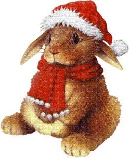 Santa Bunny - Free PNG