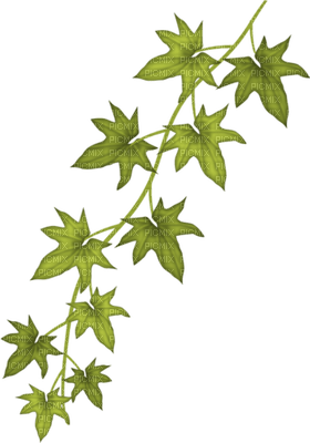 Kaz_Creations Deco Leaves Leafs - Free PNG