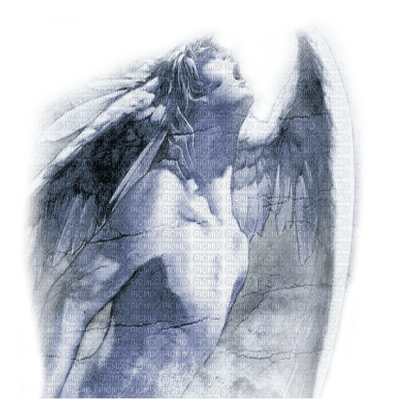 ange angel - zadarmo png