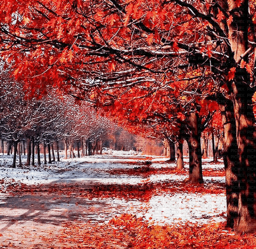 Rena red Winter background - фрее пнг