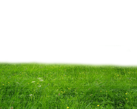 grass bp - безплатен png