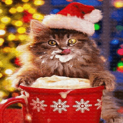 CHRISTMAS CAT BG GIF chat noel fond - Animovaný GIF zadarmo
