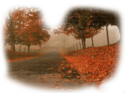 otoño - ingyenes png