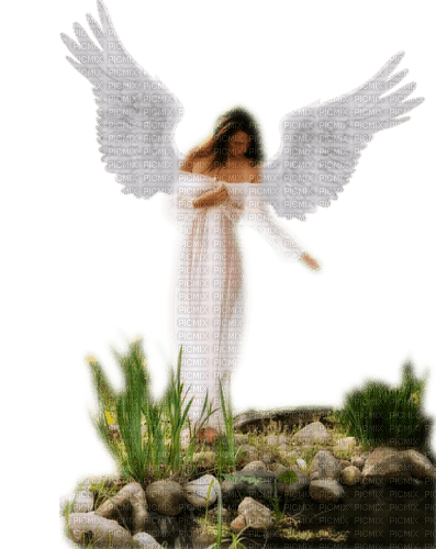 dolceluna woman angel - ücretsiz png