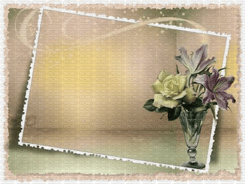 Fond avec cadre et fleurs - zdarma png