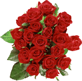Kaz_Creations Deco Flowers Roses Flower Rose - png gratuito