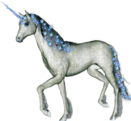 unicorn by nataliplus - bezmaksas png