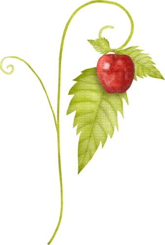 dolceluna red cherry - PNG gratuit