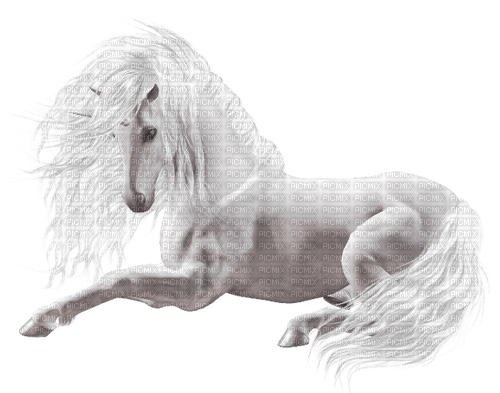 Horse, Adam64 - 免费PNG