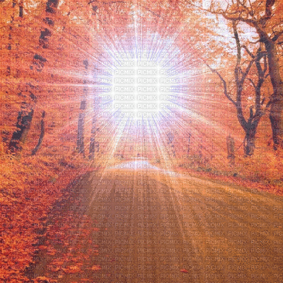 Autumn Background - Gratis animeret GIF
