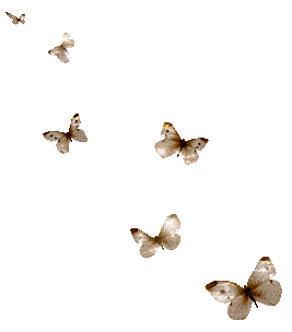 Schmetterlinge/Butterflys - Nemokamas animacinis gif