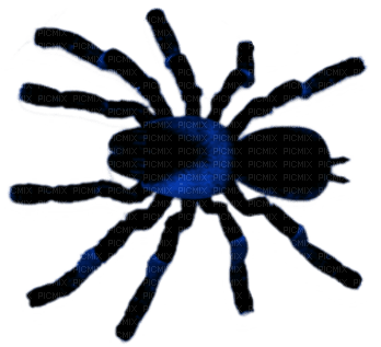Spider.Black.Blue - PNG gratuit