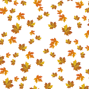 deco autumn automne leaves feuilles - GIF animasi gratis