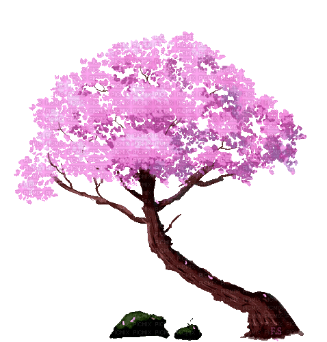 Tree, tree , blooming , spring , flowers , decor , gif , animation ,  animated , author , fainas - Free animated GIF - PicMix