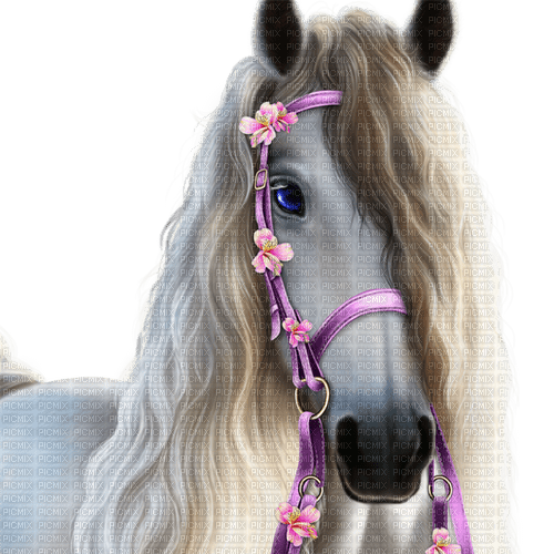 horse milla1959 - Free PNG