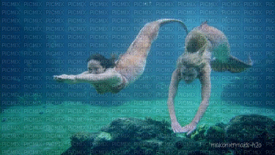 MMarcia gif sereia sirène Mermaid - Zdarma animovaný GIF