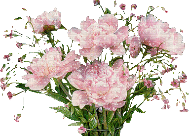 Fleurs.Flowers-Pink.Bouquet.Victoriabea - Free animated GIF