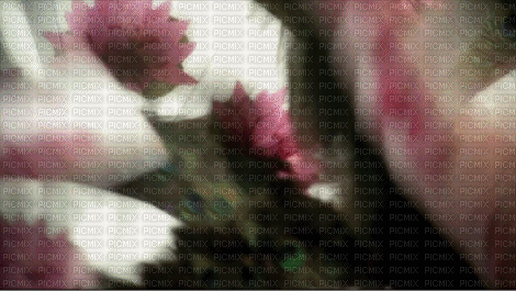Ayumi Hamasaki - Ilmainen animoitu GIF
