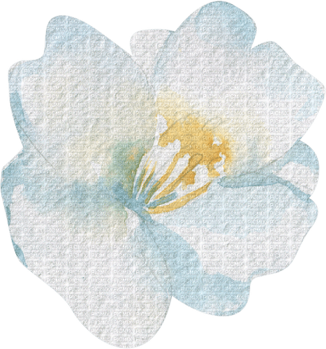 Watercolor Flower - png gratis