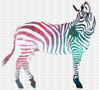 zebra - Bezmaksas animēts GIF