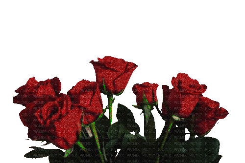 vintage rose - Zdarma animovaný GIF