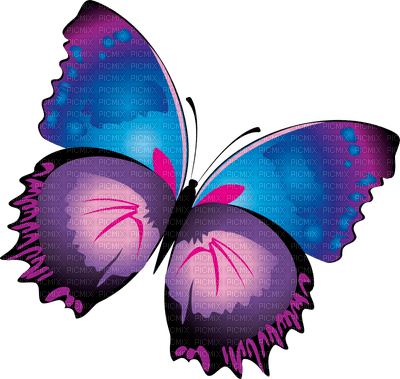 Kaz_Creations Butterflies Butterfly - ücretsiz png