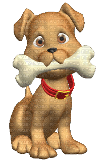dog - GIF animado grátis