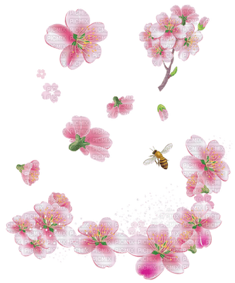 Kaz_Creations Spring Flowers - Free PNG