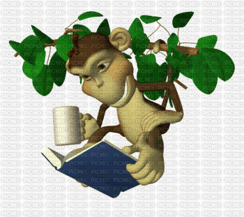 monkey - Ingyenes animált GIF