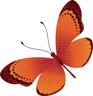 Butterfly- pages -2 - png gratuito