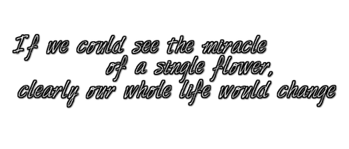 Miracle of a single flower ♡countrygirl19♡ - kostenlos png