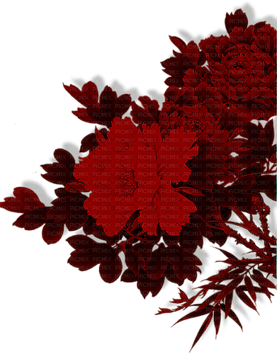 blommor--flowers--red--röd - 免费PNG