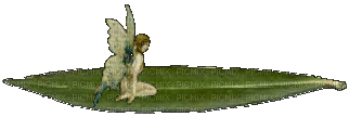 angels - Ilmainen animoitu GIF