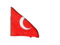 turkish flag - 免费动画 GIF