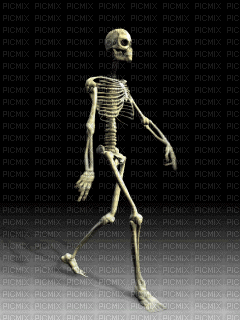 skelett - Gratis animerad GIF