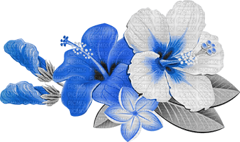 soave deco flowers summer tropical branch - PNG gratuit