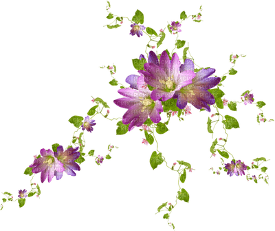 fleur violette.Cheyenne63 - 免费PNG