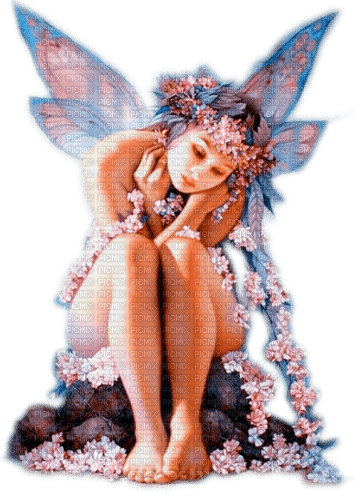 fairy milla1959 - png ฟรี