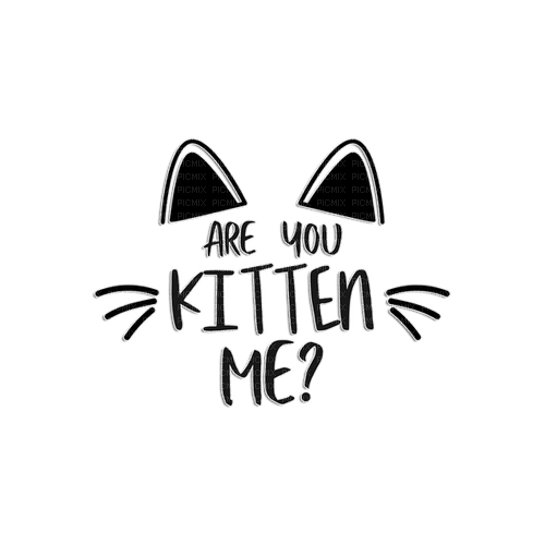 Are you kitten me? - png ฟรี