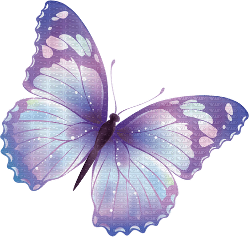 Papillon bleue bleu blue butterfly - zdarma png