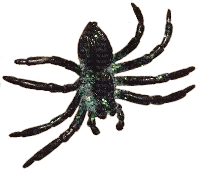 sparkly spider - PNG gratuit