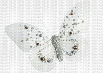 papillons - PNG gratuit