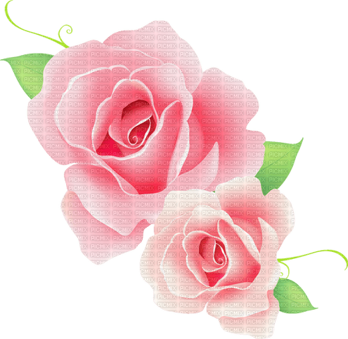 pink roses Bb2 - бесплатно png