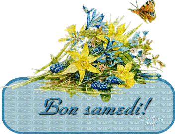 bon samedi bulle - Безплатен анимиран GIF