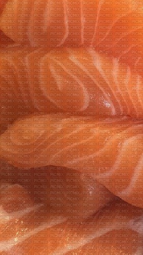 salmon - 免费PNG